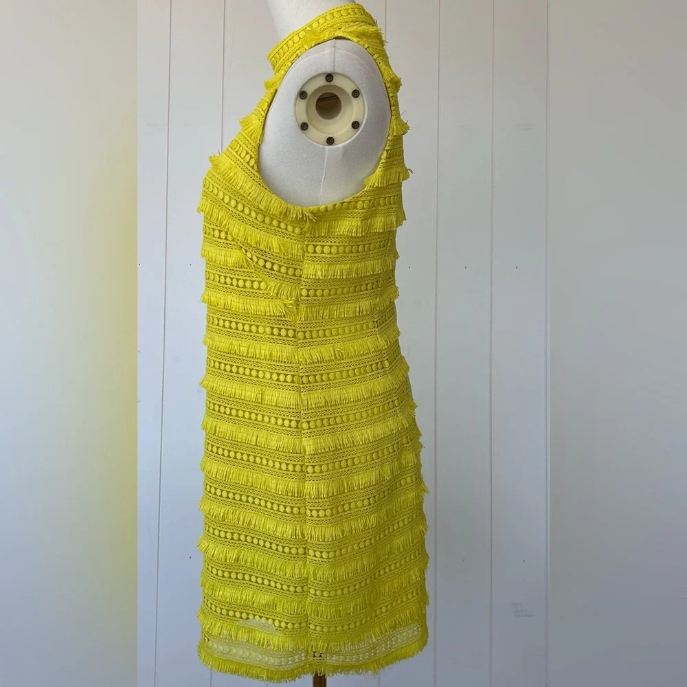 J.Crew Women’s Shift Dress‎ Fringe & Lace Lined Size 4P